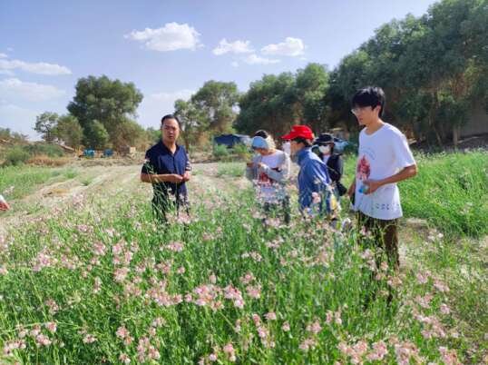 芒果体育app 芒果体育手机版根据企业需求定制课程15所纺织高校11次暑期助新疆