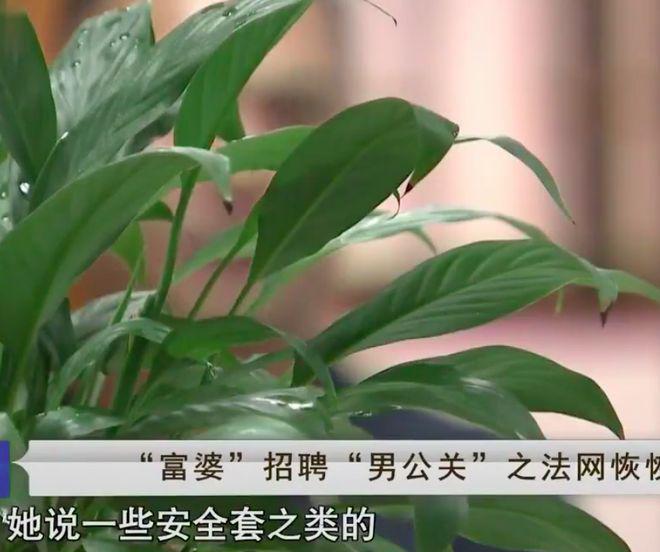 2016年陪富婆1次赚4千男子被骗男：她们假装富婆数百男人上芒果体育MGTY当(图4)